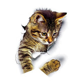 3D CURIOUS CAT WALL DECAL