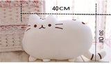 SOFT AND CUDDLY CAT PLUSH PILLOW